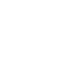 Acompañamiento emocional profesional